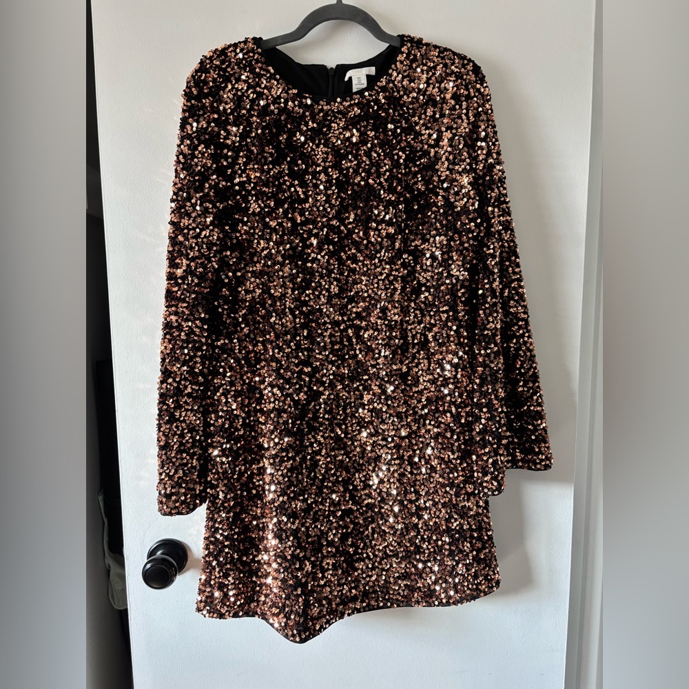 Sequin Long Sleeve Mini Dress